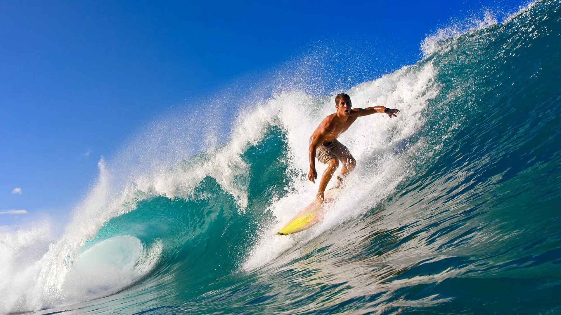 瑞典乒乓球队未来发展展望:走向全球竞技巅峰,瑞典乒乓球鼎盛时期