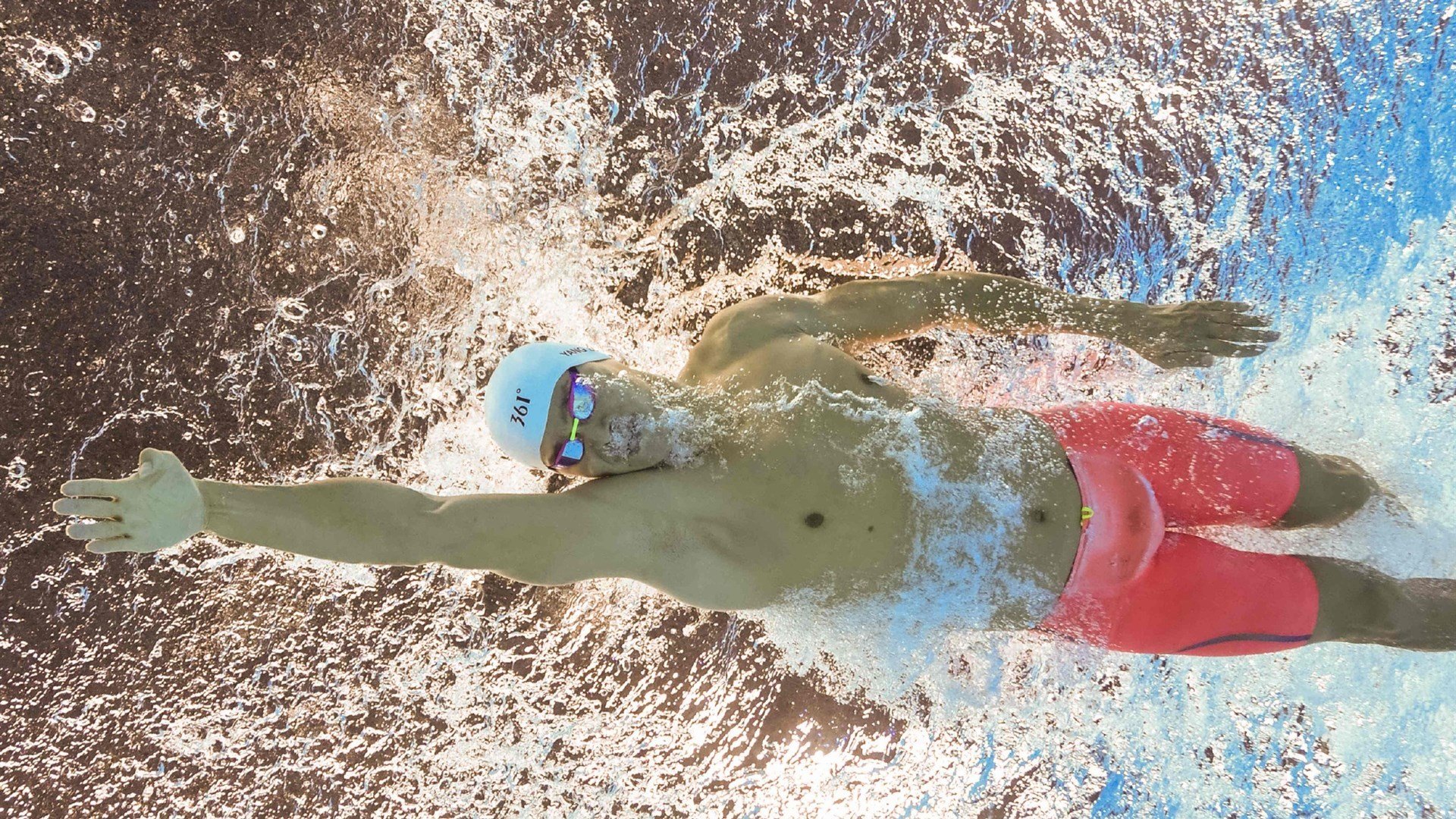 乐鱼体育(中国)官方网站-跳水动作质量稳定荷兰持续发力，跳水reverse