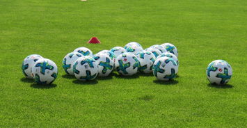 乐鱼体育(中国)官方网站-勒沃库森难敌低谷，法兰克福再进步可期？，德国杯勒沃库森vs法兰克福